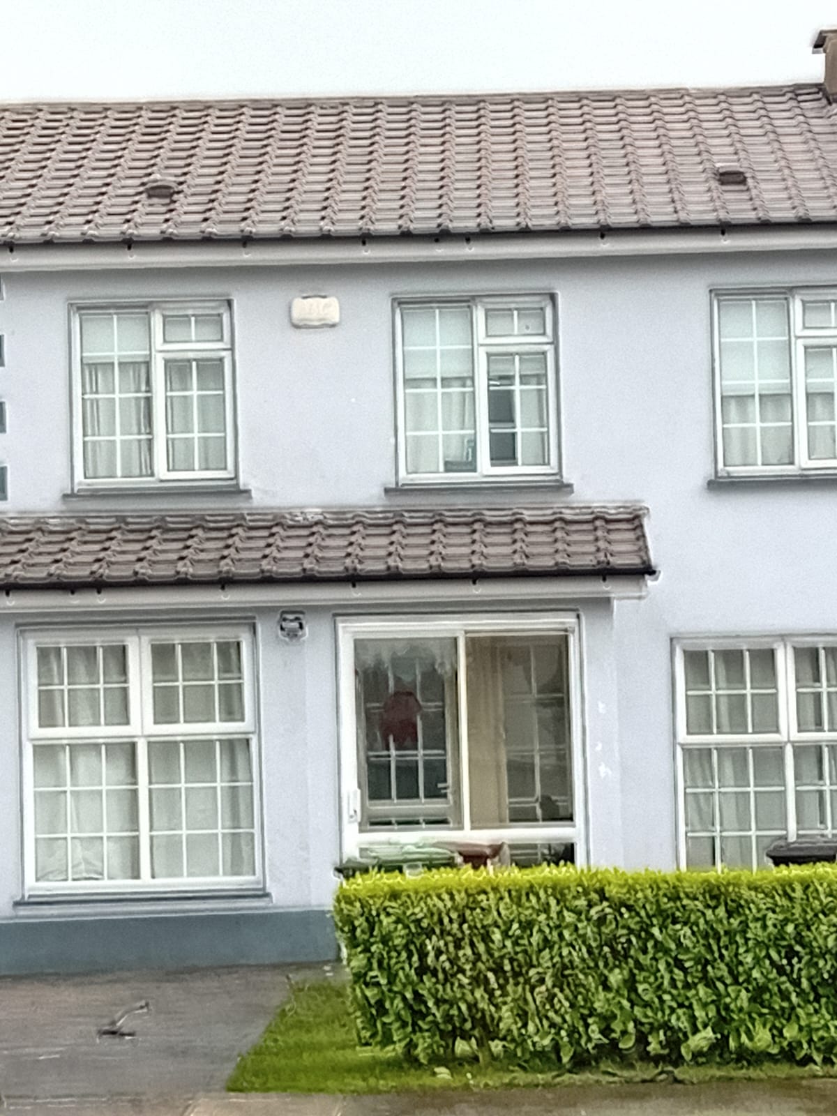 roof cleaned